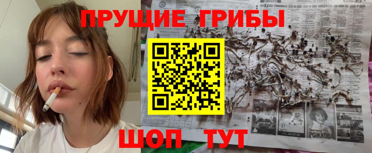Галлюциногенные грибы Cubensis Севастополь